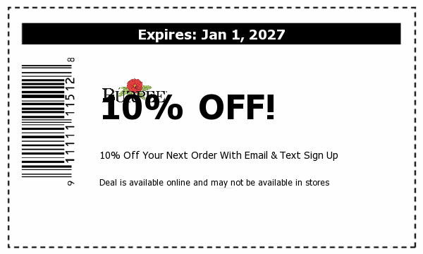Burpee Deals
