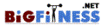 Big Fitness Coupon Codes