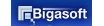 bigasoft.com Coupons