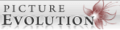Picture Evolution Coupon Codes
