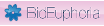BidEuphoria Coupons