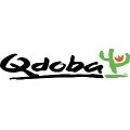 Qdoba Mexican Grill Coupons