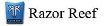 Razor Reef Coupon Codes